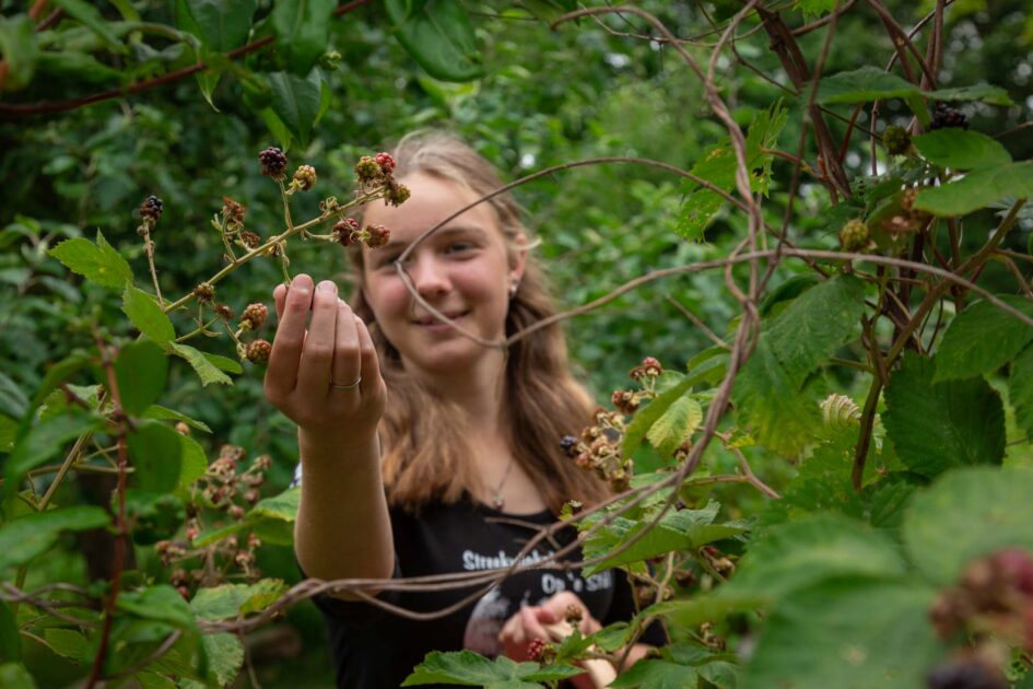 Pop-up taartencafé bakwedstrijd